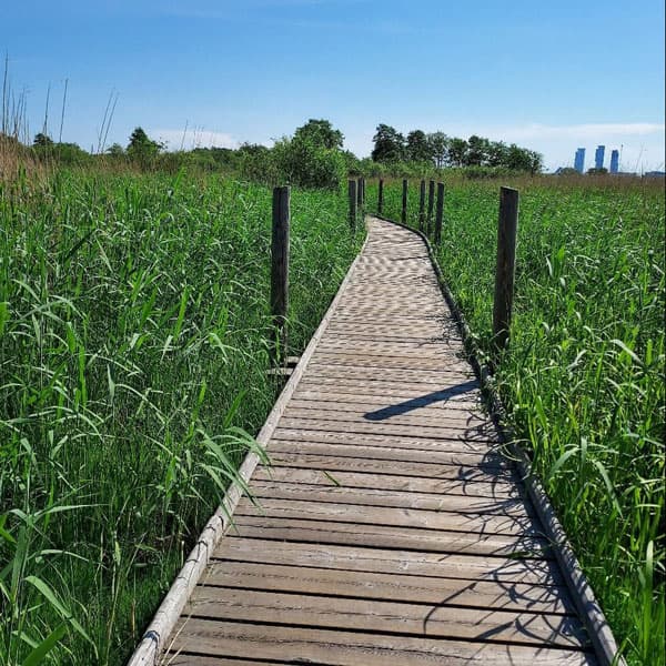 Ulkoilu / liikunta